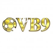 vb9vndev profile image
