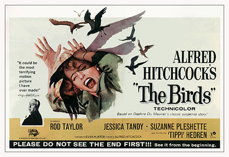Film's poster