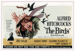 Should I Watch..? 'The Birds' (1963)
