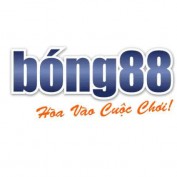 nhacaibong881 profile image