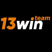 a13winteam profile image