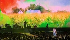 50 Best Country Songs About Grass