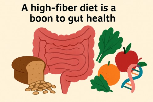 An infographic illustrating the positive influence of a high-fiber diet on gut health.