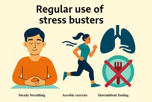 An infographic demonstrating how the regular use of stress busters, such as steady breathing, aerobic exercises, and intermittent fasting, benefits gut health.