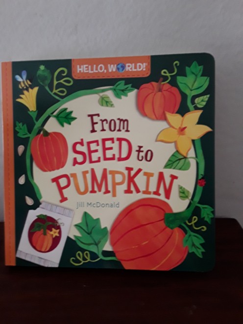Pumpkins come from seeds