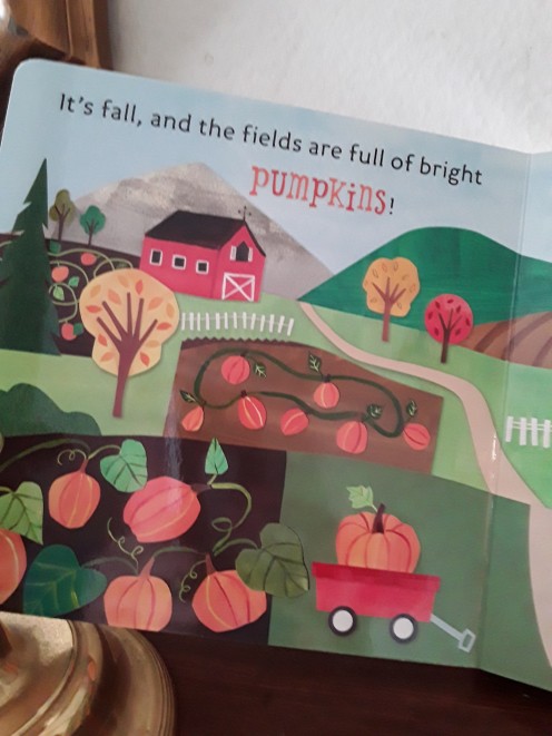 Pumpkins in the fields