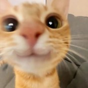 bizg22 profile image