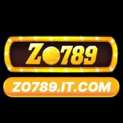 ZO7 ITCOM profile image