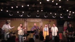 50 Best Bluegrass Songs for IG Reels & Stories