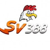 sv388vntop profile image