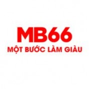 mb666info profile image