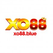 xo88bluetop profile image