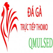 dagavinlyset profile image