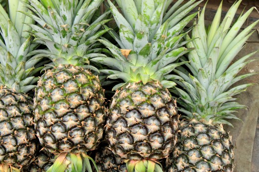 Pineapple / Ananas