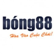 bong88credit profile image