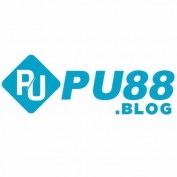 pu88blog profile image