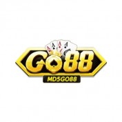 md5go88com profile image
