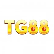 tg88ametop profile image