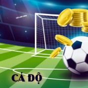 cadobongda profile image
