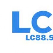lc88supply profile image