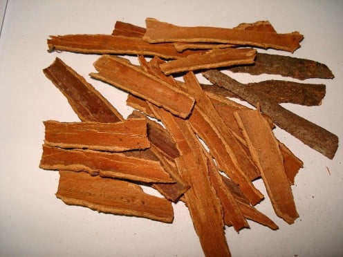 Cinnamon as a bark peeled off trees.