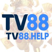 tv88help profile image