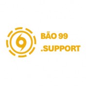 bao99support profile image