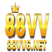 vv6net profile image