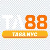 ta88nyc profile image