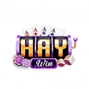 haywinnn1 profile image
