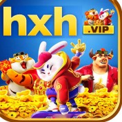 hxh bet profile image