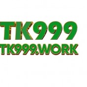 tk999work profile image