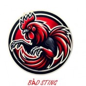 baostingthomo profile image
