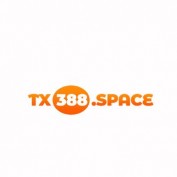 tx388space profile image