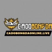 cadobongdaonlinelive profile image