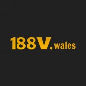 vwales profile image