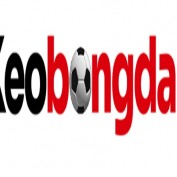keobongdanetwork profile image