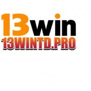 nc13wintdpro profile image