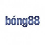 Bong888 Futbol profile image