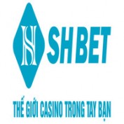 sshbetioo profile image