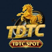 tdtcspot profile image