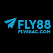 fly88accom profile image