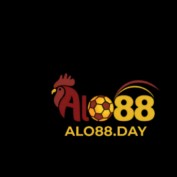 Alo88day profile image