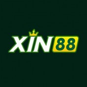 xin88acorg profile image