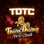 tdtc09 profile image