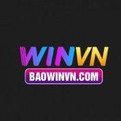 baowinvncom profile image
