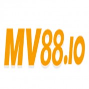 Mv io profile image