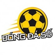 bongdaso7 profile image