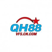 qh88vfs1 profile image