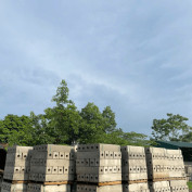 betongnguyenhuybp profile image